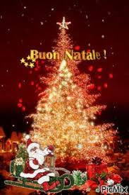 Buon Natale Buon Natale Natale Divertente Immagini Di Natale