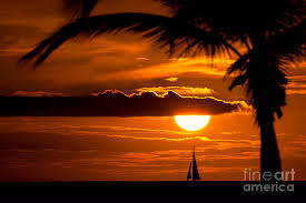 Sailing Off Into The Sunset Photograph By Melody Revnak