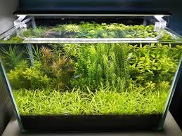 Aquascaping Designs The Walstad Method For Aquariums In 2020 Planted Aquarium Aquarium Growing Plants