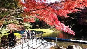 koishikawa korakuen gardens tokyo fri