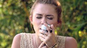 Miley Cyrus Jolene Cover Songs Miley Cyrus Dolly Parton