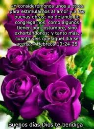 Pin By Blanca On Buenos Dias Con Versiculos Biblicos In 2020 Bible Text Texts Rose