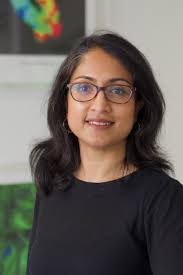 Principal Investigator