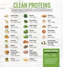 Diet Without Counting Calories In 2020 With Images Clean Protein Protein Foods List Vegan Nutrition