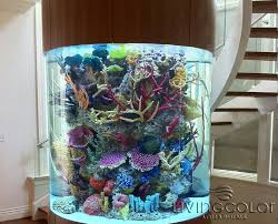 Pin De Stephanie Em Beautiful Aquariums Aquarios Incriveis Aquarios Peixes