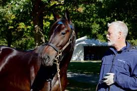 $23 million night smashes multiple records