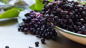 Associées aux fleurs de bourrache ou de tilleul, les fleurs de sureau provoquent en début de grippe une transpiration salutaire en cas de fièvre ou pour combattre un. Tout Sur Le Sureau Fruits Et Fleurs