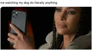 See more ideas about kardashian memes, kim kardashian meme, kardashian. Kim Kardashian Crying Recording With Cell Phone Memes Stayhipp