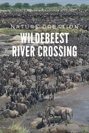 The River Crossing In The Serengeti National Park Is One Of The Natural Wonders Which Happens Only Once A Year In 2020 Serengeti National Park National Parks Day Tours