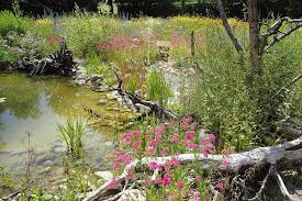 Jedes tier in meinem garten soll im sommer genug wasser bekommen.mit den murmeltränken für bienen, habe ich besonders gute erfahrungen gemacht. Der Garten Im Klimawandel Vorbereitung Auf Trockenere Zeiten Lbv Gemeinsam Bayerns Natur Schutzen