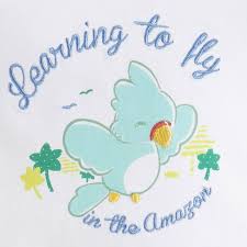 Encanto De Animais Panosundaki Pin