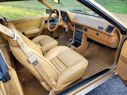 Image result for Spice 1984 Plymouth