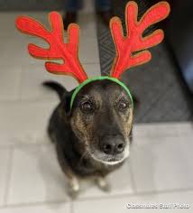 Sunnyslope Elementary School