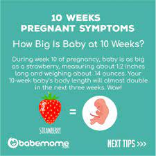 Wondering What To Expect At 10 Weeks Pregnant 9 Months Pregnant Guide Follow Us To Keep Up With These Great Tips Babemome Babemo