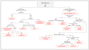 Image result for Acute Red Eye