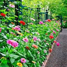 Gardening Beautiful Flowers Garden Garden Photos Beautiful Gardens