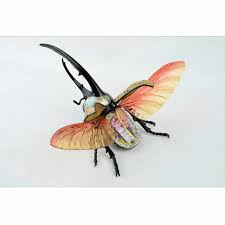 4d Hayvan Modeli Beetle Anatomi Monte Model 27 Cm Tibbi Bulmaca Montaj Hayvan Bocek Modeli Cocuk Egitim Bilimi Oyuncaklar Egitim Ekipmanlari Aliexpress