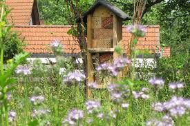 Der bau einer gartensauna von der pike auf erfordert ein. Insektenhotel Selbst Bauen Tipps Und Tricks Lbv Gemeinsam Bayerns Natur Schutzen