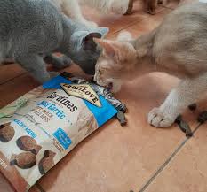 Miskito repellent or bite relief. Carnilove Semi Soft Treats With Sardines And Wild Garlic Are Originally Intended For Dogs But We Have Received Multiple Evidence That Their Smell Attracts Someone Else As Well Https Carnilove Cz En Products Cats Snacks Semi Moist Sardine