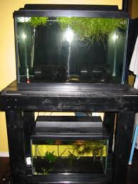 There's a few reasons why they tend to be the size of choice for new fish keepers. Diy 10 Gallon Aquarium Stand Aquariacentral Com