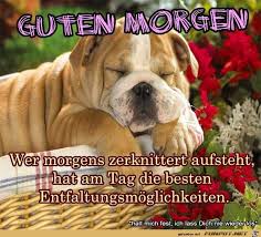Guten morgen heiβt er, dieser fiesling. Whatsapp Funpot Net Guten Morgen Bilder