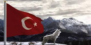 Hangi Hayvanlar Hangi Ulkeleri Temsil Ediyor Foto Galerisi 1 Resim