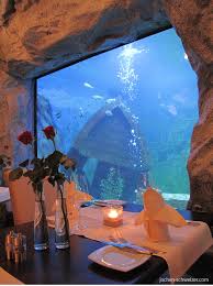 Unterwasser & tauchen werden eins! Essen Im Unterwasser Restaurant Unterwasser Restaurant Bilder Erlebnis