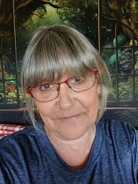 Notions bags for sewing machine storage