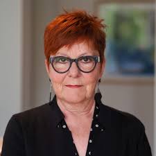 Demokratie Volksinitiative