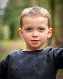 Bradley Green (@bradleygreen3) • Instagram photos and videos