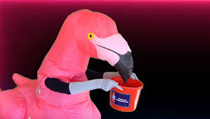 Maybe you would like to learn more about one of these? Can You Guess Which Broadway Star Is The Flamingo Playbill