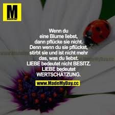Wenn Du Eine Blume Liebst Made My Day