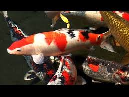 An Elementary Art Education Blog Full Of Lesson Ideas And Classroom Management Tips By Art Educator Mrs Art Education Elementary Learn Japanese Japanese Symbol