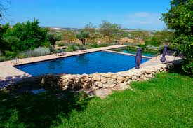 Backyard swimming pool with island. Elbe Pool Surface Island Dreams Your Beach At Home Elbepools