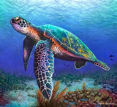 Check spelling or type a new query. Sea Turtle Drawing Color