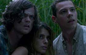En La Hierba Alta Que Significa El Final De La Pelicula De Terror In The Tall Grass Y Cuan Diferente Es A La Novela De Stephen King Netflix Tvmas
