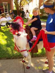 Having a fiesta burro also know as a water donkey at your event. Dallas Pony Pony Party In Dallas Texas Pony Rides Petting Zoo Birthday Party Pony Party