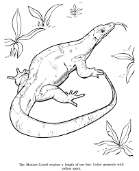 Animal Drawings Coloring Pages Monitor Lizard Animal Identification Drawing And Coloring Pages Animal Coloring Pages Animal Drawings Snake Coloring Pages