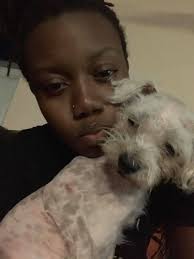 Lost dog in North Texas, help find my pet