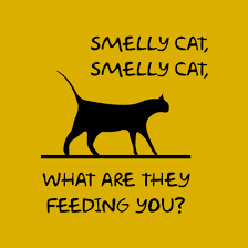 Smelly Cat Smelly Cat What Are They Feeding You Friendsstuffs Friends Phoebe Filmes Wallpapers De Filmes Frases Marcantes De Filmes