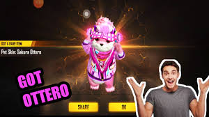 Noterro is designed to streamline your practice without straining your staff or your budget. Secret Of Ottero Pet In Free Fire Full Details Watch Fully Freefire Joker Garena Youtube