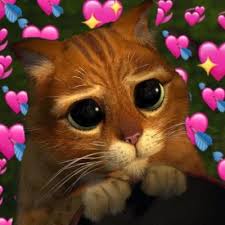 3,416 likes · 2 talking about this. Tu Rol En Vine On Twitter Cuando Te Pones A Leer Los Roles Antiguos Con Tu Partner