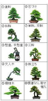 盆栽 苔玉 おしゃれまとめの人気アイデア pinterest 322c 盆栽の木 ガーデンプランター 園芸