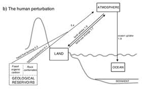 Carbon Cycle Wikipedia