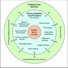 Read our palliative care questions below to learn more. Pdf Understanding The Maori Experience Of Palliative Care In Canterbury