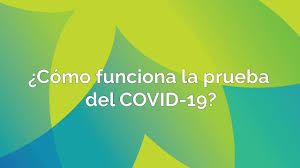 O novo sistema tem como objetivo ajudar a organizar e otimizar o plano de imunização da população do ceará com inovação e eficiência. Como Funciona La Prueba Del Covid 19 Youtube