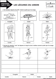 Epingle Par Pascale Anne Raoul Sur Pedagogie Jardin De Legumes Jardins Scolaires Jardinons A L Ecole