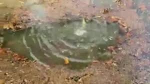 Why is water bubbling up to the surface?