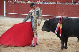 Juan de Castilla sale a hombros de La Isla de Trillo | GuadaPress.es