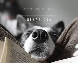 We did not find results for: Fosters Of Blisswood Ranch A Border Collie Rescue In East Texas